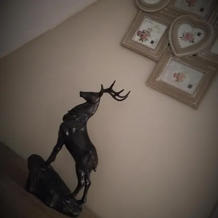 Le Compostelle De Διαμέρισμα *