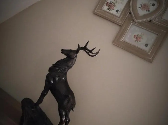 Le Compostelle De Apartment *